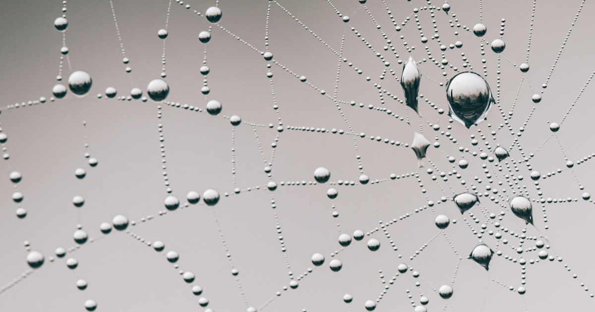 Close-up of a spider web covered in water droplets, with each droplet reflecting light like tiny data points connected by invisible threads